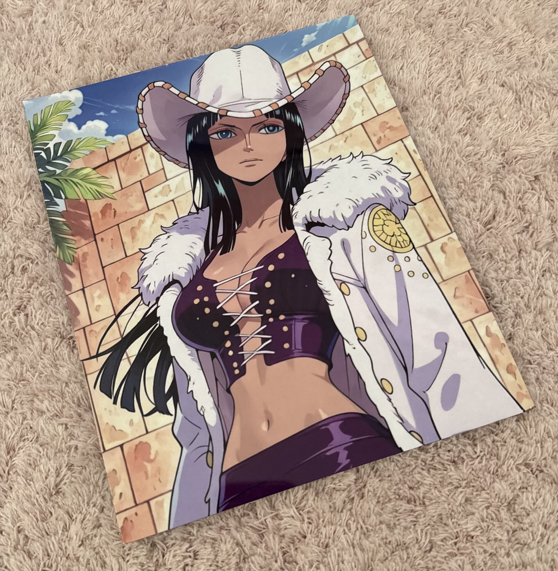 Lamina Nico Robin, One Piece - 2