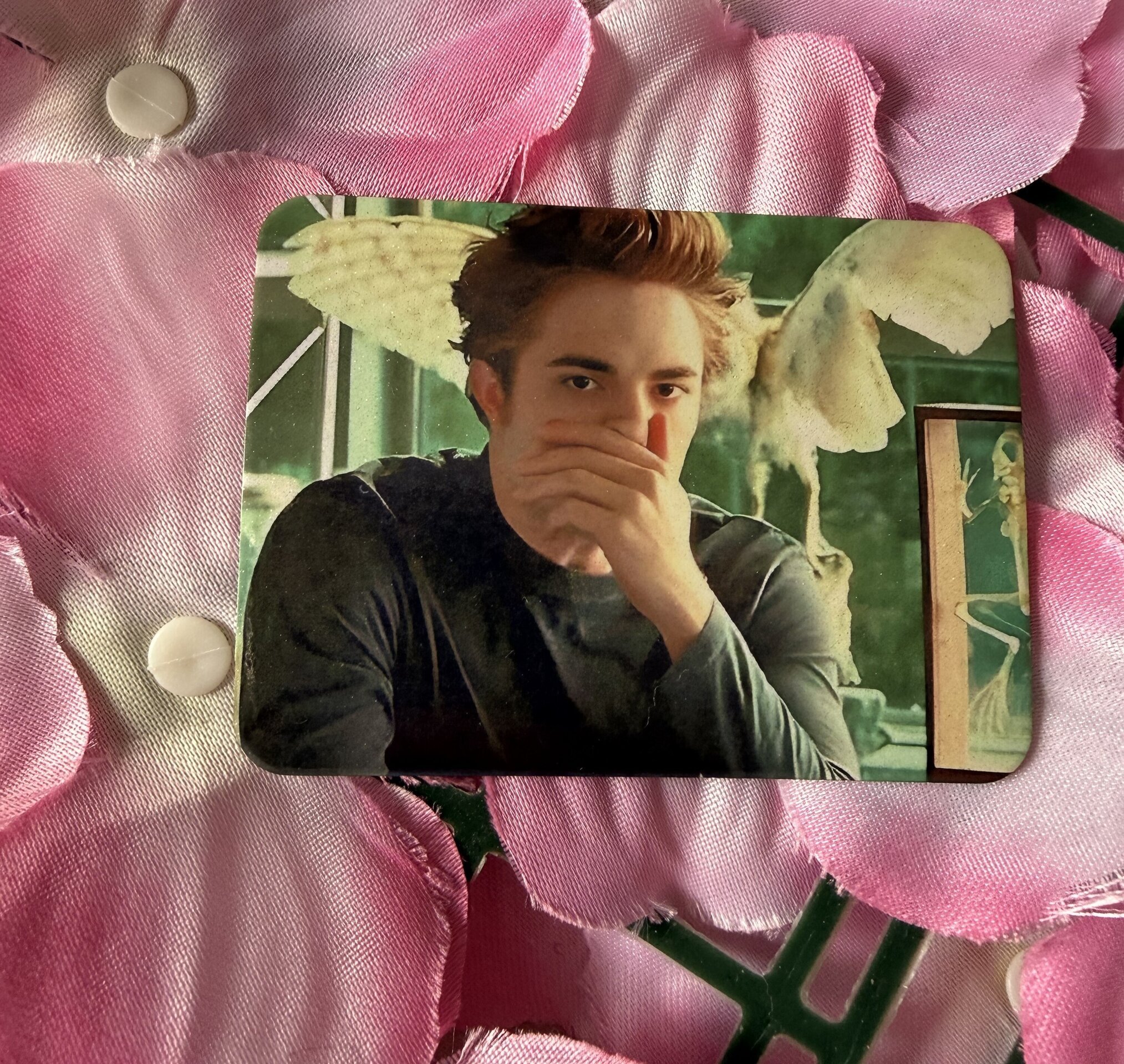 Iman Edward Cullen - 14