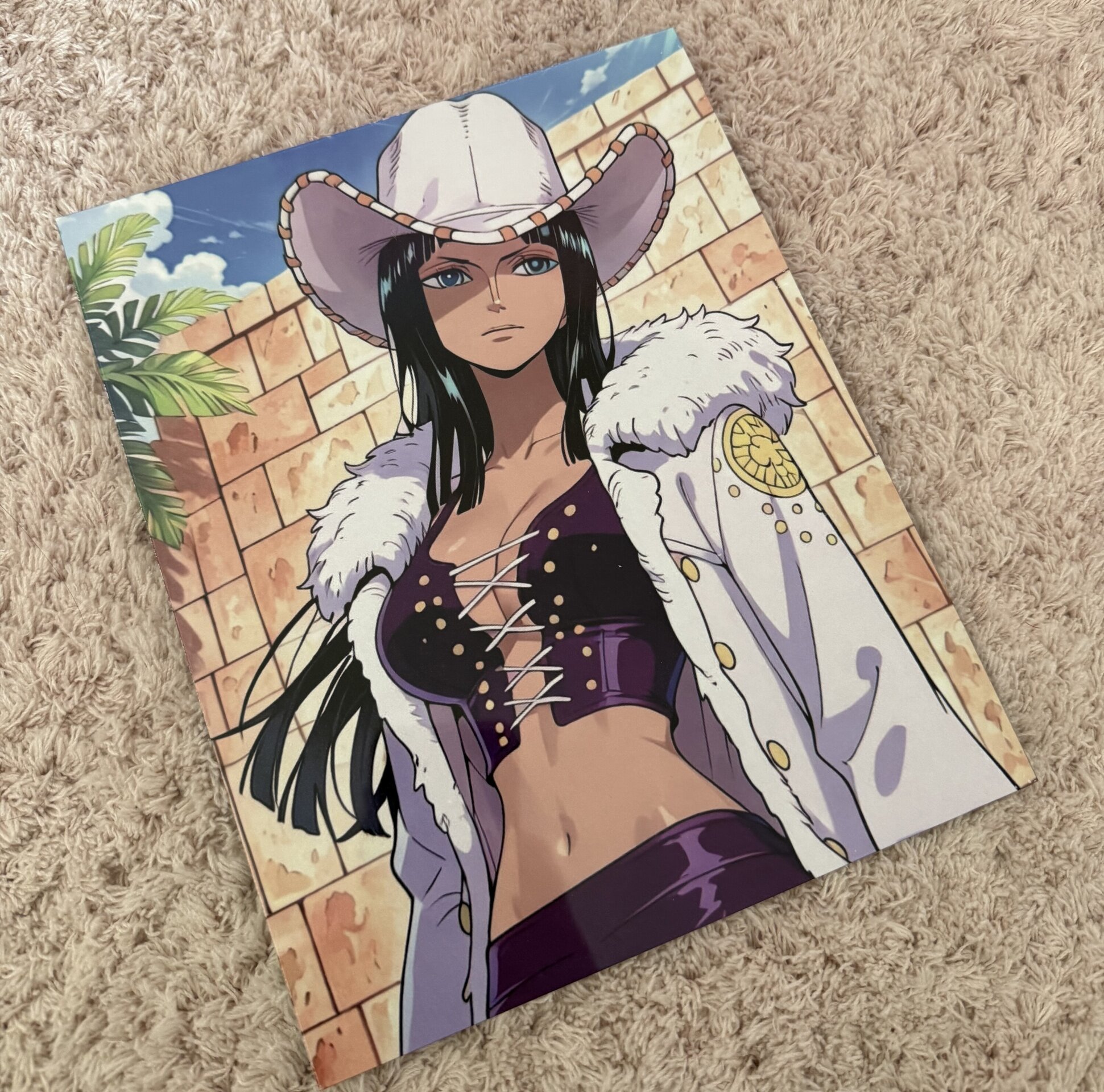 Lamina Nico Robin, One Piece - 12
